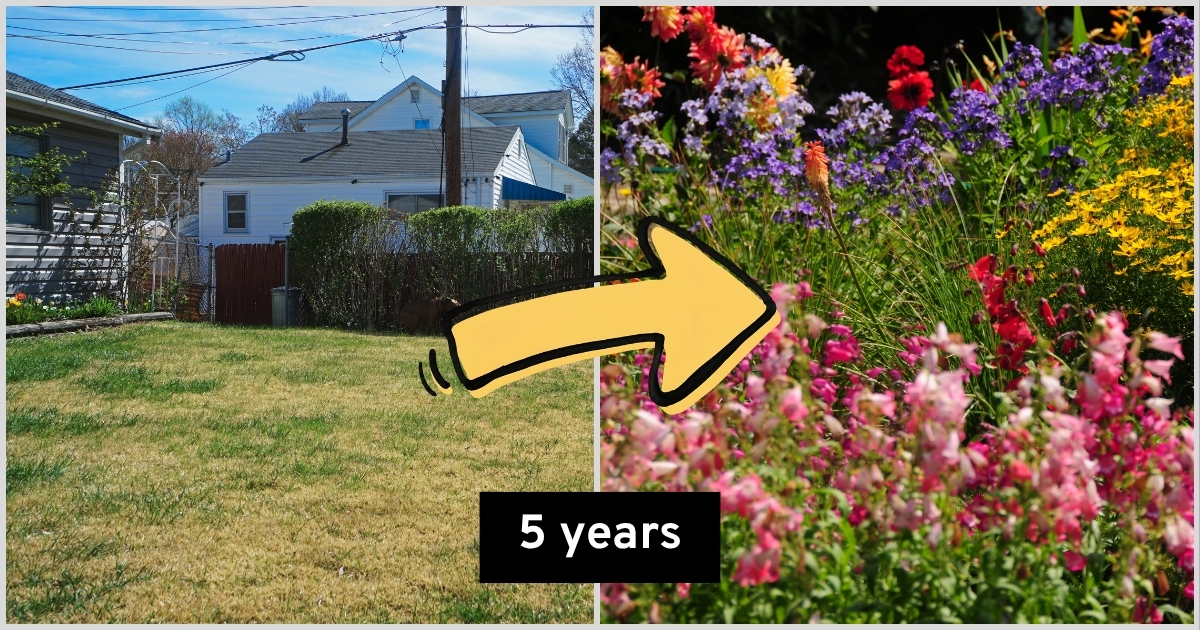 See how a gardener turns a boring patch of grass into a lush English garden over 5 years