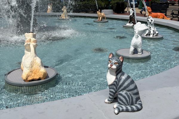 South Main Plaza Dog Fountain in Mount Vernon, Ohio